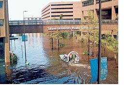 [Tulane University]